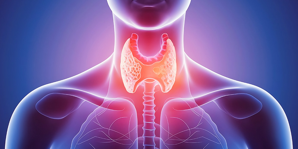 Trying to Conceive but Struggling? Your Thyroid & Sugar Levels Might Hold the Answer